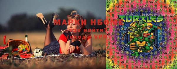 гидра Балахна