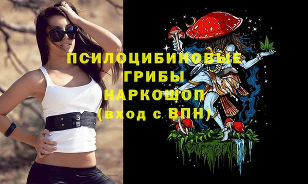 гидра Балахна