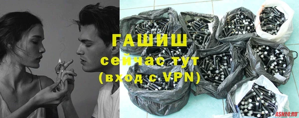 гидра Балахна