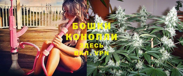 гидра Балахна